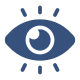 Our Vision Icon