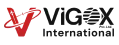Vigox International Icon